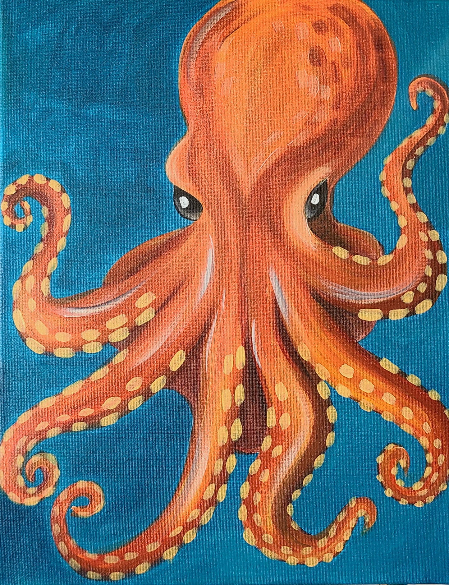 Octopus